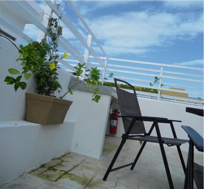 Palmarena Rooms & Residences - Long Stay Comfort With Parking, Sauna, Gym & Pool - Steps From 5Th Avenue Плая дел Кармен Екстериор снимка